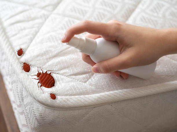 Best Residential Pest Control  in Highland Springs, VA